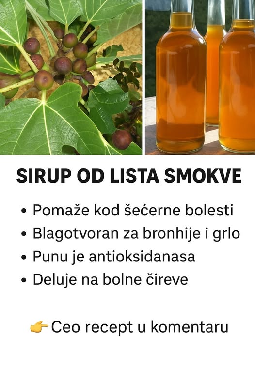 SIRUP OD LISTA SMOKVE: Lako se pravi, a teško je opisati koliko je dobar - featured image
