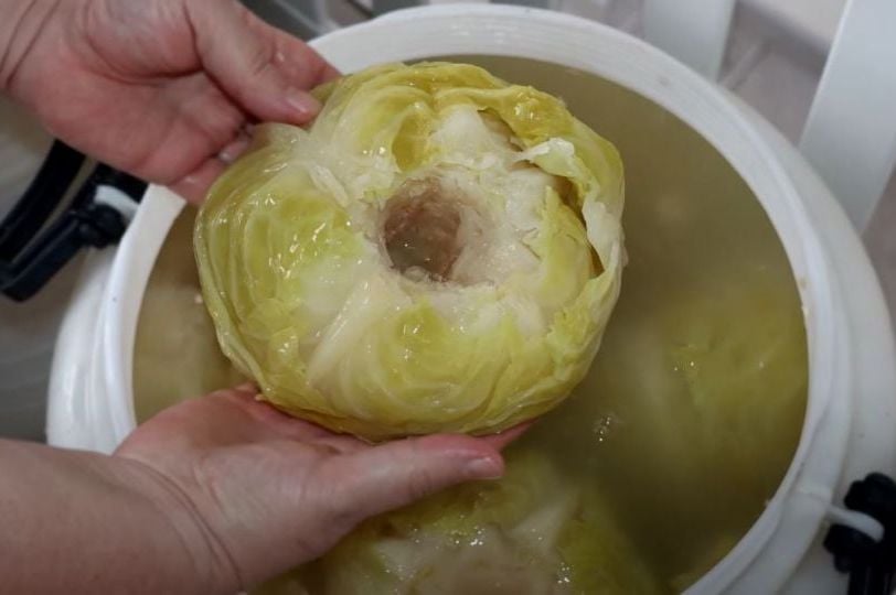 Evo kad i kako se kiseli kupus: Jedan sastojak ga čini posebnim - featured image