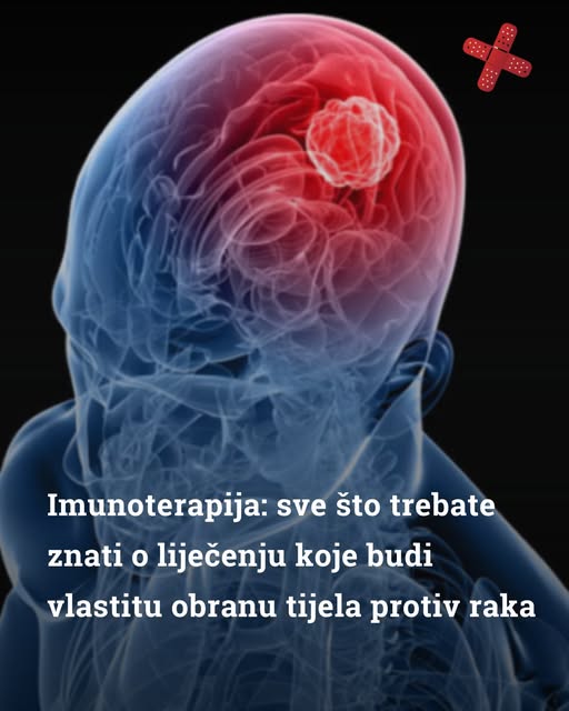 Imunoterapija: sve što trebate znati o liječenju koje budi vlastitu obranu tijela protiv raka - featured image