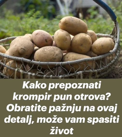 Kako prepoznati krompir pun otrova? Obratite pažnju na ovaj detalj, može vam spasiti život - featured image