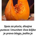 Spas za pluća, disajne puteve i imunitet: Ova biljka je pravo blago, jedite je svaki dan Spas za pluća, disajne puteve i imunitet: Ova biljka je pravo blago, jedite je svaki dan - featured image
