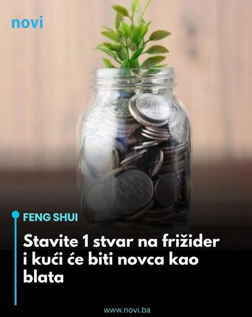 Stavite 1 stvar na frižider i kući će biti novca kao blata - featured image