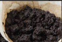 KAD čujete čemu služi talog od kafe, čuvat ćete ga kao zlato: 2 su jaka razloga! KAD čujete čemu služi talog od kafe, čuvat ćete ga kao zlato: 2 su jaka razloga! - featured image