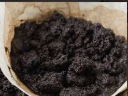 KAD čujete čemu služi talog od kafe, čuvat ćete ga kao zlato: 2 su jaka razloga! KAD čujete čemu služi talog od kafe, čuvat ćete ga kao zlato: 2 su jaka razloga! - featured image