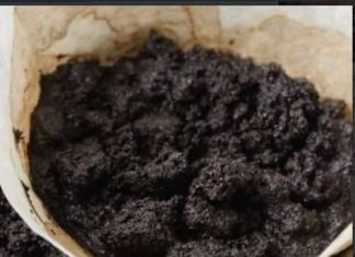 KAD čujete čemu služi talog od kafe, čuvat ćete ga kao zlato: 2 su jaka razloga! KAD čujete čemu služi talog od kafe, čuvat ćete ga kao zlato: 2 su jaka razloga! - featured image