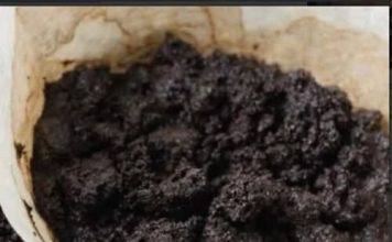 KAD čujete čemu služi talog od kafe, čuvat ćete ga kao zlato: 2 su jaka razloga! KAD čujete čemu služi talog od kafe, čuvat ćete ga kao zlato: 2 su jaka razloga! - featured image