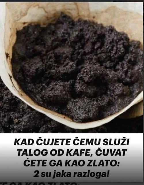 KAD čujete čemu služi talog od kafe, čuvat ćete ga kao zlato: 2 su jaka razloga! - featured image KAD čujete čemu služi talog od kafe, čuvat ćete ga kao zlato: 2 su jaka razloga! - featured image