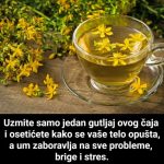 Uzmite samo jedan gutljaj ovog čaja i osetićete kako se vaše telo opušta, a um zaboravlja na sve probleme, brige i stres Uzmite samo jedan gutljaj ovog čaja i osetićete kako se vaše telo opušta, a um zaboravlja na sve probleme, brige i stres - featured image