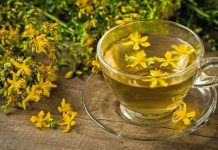 Uzmite samo jedan gutljaj ovog čaja i osetićete kako se vaše telo opušta, a um zaboravlja na sve probleme, brige i stres Uzmite samo jedan gutljaj ovog čaja i osetićete kako se vaše telo opušta, a um zaboravlja na sve probleme, brige i stres - featured image