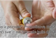 Čudo iz prirode”: Propolisova mast koja liječi sve — od ispucale kože do rane! Čudo iz prirode”: Propolisova mast koja liječi sve — od ispucale kože do rane! - featured image