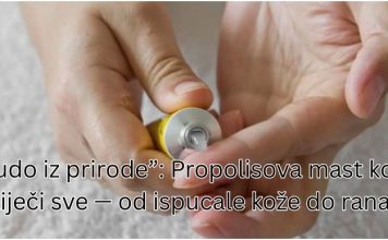 Čudo iz prirode”: Propolisova mast koja liječi sve — od ispucale kože do rane! Čudo iz prirode”: Propolisova mast koja liječi sve — od ispucale kože do rane! - featured image