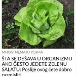 ŠTA SE DEŠAVA U ORGANIZMU AKO ČESTO JEDETE ZELENU SALATU: Poslije OVOG ćete dobro razmisliti ŠTA SE DEŠAVA U ORGANIZMU AKO ČESTO JEDETE ZELENU SALATU: Poslije OVOG ćete dobro razmisliti - featured image