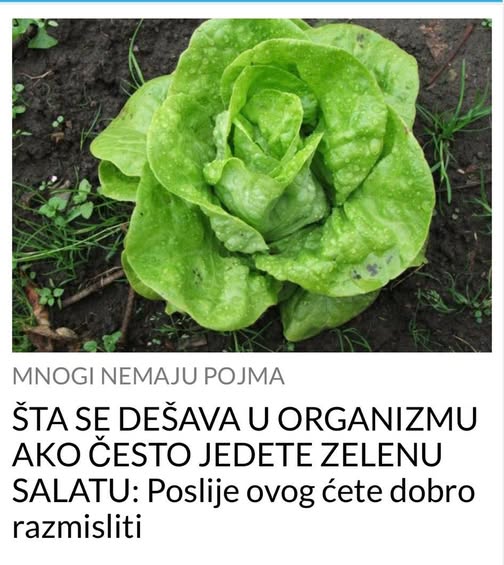 ŠTA SE DEŠAVA U ORGANIZMU AKO ČESTO JEDETE ZELENU SALATU: Poslije OVOG ćete dobro razmisliti - featured image ŠTA SE DEŠAVA U ORGANIZMU AKO ČESTO JEDETE ZELENU SALATU: Poslije OVOG ćete dobro razmisliti - featured image