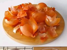 MOKRAĆNA bešika i PROSTATA KAO NOVI! DJEDOV stari lijek OD ljuske luka MOKRAĆNA bešika i PROSTATA KAO NOVI! DJEDOV stari lijek OD ljuske luka - featured image