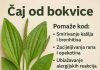 Bokvica – Moćna ljekovita biljka koju možete pronaći svuda Bokvica – Moćna ljekovita biljka koju možete pronaći svuda - featured image