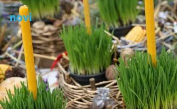 Donosi blagostanje u vaš dom: Evo kada je najbolje posijati božićnu pšenicu Donosi blagostanje u vaš dom: Evo kada je najbolje posijati božićnu pšenicu - featured image