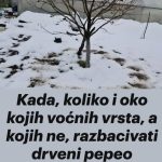 Kada, koliko i oko kojih voćnih vrsta, a kojih ne, razbacivati drveni pepeo Kada, koliko i oko kojih voćnih vrsta, a kojih ne, razbacivati drveni pepeo - featured image