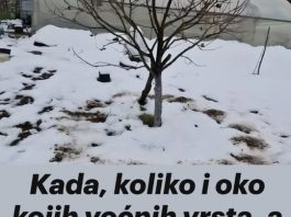 Kada, koliko i oko kojih voćnih vrsta, a kojih ne, razbacivati drveni pepeo Kada, koliko i oko kojih voćnih vrsta, a kojih ne, razbacivati drveni pepeo - featured image