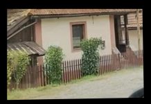 Drvo koje nikada ne treba saditi u dvorištu: Tjera sreću iz kuće i unosi negativnu energiju Drvo koje nikada ne treba saditi u dvorištu: Tjera sreću iz kuće i unosi negativnu energiju - featured image