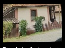 Drvo koje nikada ne treba saditi u dvorištu: Tjera sreću iz kuće i unosi negativnu energiju Drvo koje nikada ne treba saditi u dvorištu: Tjera sreću iz kuće i unosi negativnu energiju - featured image