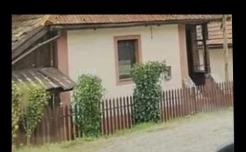 Drvo koje nikada ne treba saditi u dvorištu: Tjera sreću iz kuće i unosi negativnu energiju Drvo koje nikada ne treba saditi u dvorištu: Tjera sreću iz kuće i unosi negativnu energiju - featured image