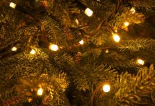 Greške koje svi prave kada postavljaju lampice na jelku: Zbog njih ne dobijate luksuzni izgled kao iz časopisa Greške koje svi prave kada postavljaju lampice na jelku: Zbog njih ne dobijate luksuzni izgled kao iz časopisa - featured image