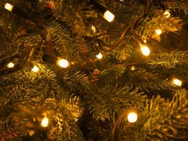 Greške koje svi prave kada postavljaju lampice na jelku: Zbog njih ne dobijate luksuzni izgled kao iz časopisa Greške koje svi prave kada postavljaju lampice na jelku: Zbog njih ne dobijate luksuzni izgled kao iz časopisa - featured image