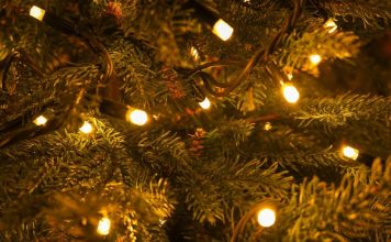 Greške koje svi prave kada postavljaju lampice na jelku: Zbog njih ne dobijate luksuzni izgled kao iz časopisa Greške koje svi prave kada postavljaju lampice na jelku: Zbog njih ne dobijate luksuzni izgled kao iz časopisa - featured image