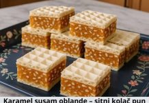 KARAMEL-SUSAM OBLANDE – sitni KOLAČ pun ukusa, bez pečenja KARAMEL-SUSAM OBLANDE – sitni KOLAČ pun ukusa, bez pečenja - featured image