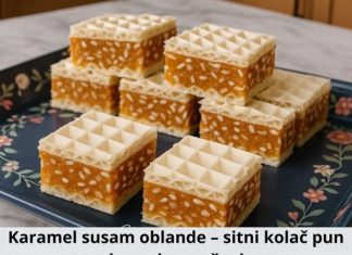 KARAMEL-SUSAM OBLANDE – sitni KOLAČ pun ukusa, bez pečenja KARAMEL-SUSAM OBLANDE – sitni KOLAČ pun ukusa, bez pečenja - featured image