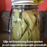 Kako napraviti ulje lovora i zašto je to skriveni lijek za bol i upalu Kako napraviti ulje lovora i zašto je to skriveni lijek za bol i upalu - featured image