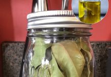 Kako napraviti ulje lovora i zašto je to skriveni lijek za bol i upalu Kako napraviti ulje lovora i zašto je to skriveni lijek za bol i upalu - featured image