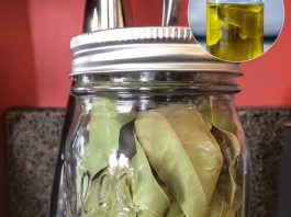 Kako napraviti ulje lovora i zašto je to skriveni lijek za bol i upalu Kako napraviti ulje lovora i zašto je to skriveni lijek za bol i upalu - featured image