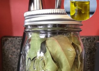 Kako napraviti ulje lovora i zašto je to skriveni lijek za bol i upalu Kako napraviti ulje lovora i zašto je to skriveni lijek za bol i upalu - featured image