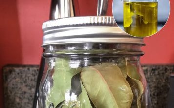 Kako napraviti ulje lovora i zašto je to skriveni lijek za bol i upalu Kako napraviti ulje lovora i zašto je to skriveni lijek za bol i upalu - featured image