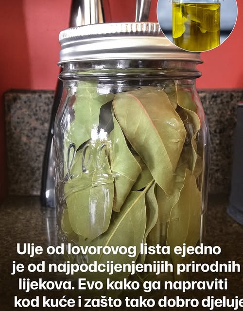 Kako napraviti ulje lovora i zašto je to skriveni lijek za bol i upalu - featured image Kako napraviti ulje lovora i zašto je to skriveni lijek za bol i upalu - featured image