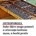 Osteoporoza: Suhe šljive mogu pomoći u očuvanju koštane mase, u borbi protiv upale Osteoporoza: Suhe šljive mogu pomoći u očuvanju koštane mase, u borbi protiv upale - featured image