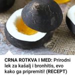 REŠITE SE ŠLAJMA IZ PLUĆA I GRLA: Sve što će vam trebati je prirodni eliksir od meda i rotkve REŠITE SE ŠLAJMA IZ PLUĆA I GRLA: Sve što će vam trebati je prirodni eliksir od meda i rotkve - featured image