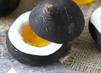 REŠITE SE ŠLAJMA IZ PLUĆA I GRLA: Sve što će vam trebati je prirodni eliksir od meda i rotkve REŠITE SE ŠLAJMA IZ PLUĆA I GRLA: Sve što će vam trebati je prirodni eliksir od meda i rotkve - featured image