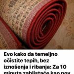 BEZ IZNOŠENJA I RIBANJA: Evo kako da temeljno očistite tepih, za svega 10 minuta biće kao nov BEZ IZNOŠENJA I RIBANJA: Evo kako da temeljno očistite tepih, za svega 10 minuta biće kao nov - featured image
