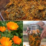 ČAJ OD NEVENA – NEVJEROVATNO KORISTAN, POSEBNO ZA ŽENE ČAJ OD NEVENA – NEVJEROVATNO KORISTAN, POSEBNO ZA ŽENE - featured image