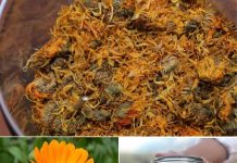 ČAJ OD NEVENA – NEVJEROVATNO KORISTAN, POSEBNO ZA ŽENE ČAJ OD NEVENA – NEVJEROVATNO KORISTAN, POSEBNO ZA ŽENE - featured image