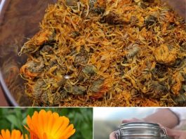 ČAJ OD NEVENA – NEVJEROVATNO KORISTAN, POSEBNO ZA ŽENE ČAJ OD NEVENA – NEVJEROVATNO KORISTAN, POSEBNO ZA ŽENE - featured image