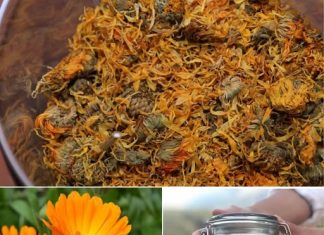 ČAJ OD NEVENA – NEVJEROVATNO KORISTAN, POSEBNO ZA ŽENE ČAJ OD NEVENA – NEVJEROVATNO KORISTAN, POSEBNO ZA ŽENE - featured image