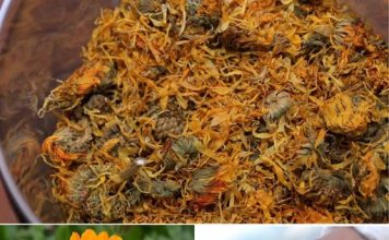 ČAJ OD NEVENA – NEVJEROVATNO KORISTAN, POSEBNO ZA ŽENE ČAJ OD NEVENA – NEVJEROVATNO KORISTAN, POSEBNO ZA ŽENE - featured image