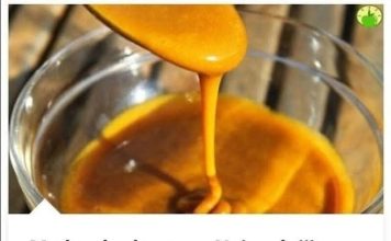 MED SA KURKUMOM: Najmoćniji antibiotik na svijetu koji čak ni doktori ne mogu da objasne MED SA KURKUMOM: Najmoćniji antibiotik na svijetu koji čak ni doktori ne mogu da objasne - featured image