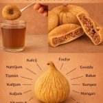 Suhe smokve: „čudesna“ namirnica koju su stari Grci rado uključivali u ishranu Suhe smokve: „čudesna“ namirnica koju su stari Grci rado uključivali u ishranu - featured image