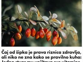 Čaj od šipka je prava riznica zdravlja, ali niko ne zna kako se pravilno kuha: Jedna stvar mu uništava sve vitamine Čaj od šipka je prava riznica zdravlja, ali niko ne zna kako se pravilno kuha: Jedna stvar mu uništava sve vitamine - featured image