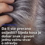 Da li ste prerano osijedili? Sijeda kosa je dobar znak i govori jednu važnu stvar o zdravlju Da li ste prerano osijedili? Sijeda kosa je dobar znak i govori jednu važnu stvar o zdravlju - featured image