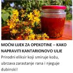 MOĆNI LIJEK ZA OPEKOTINE – KAKO NAPRAVITI KANTARIONOVO ULJE Prirodni eliksir koji smiruje kožu, ubrzava zarastanje rana i njeguje dubinski! MOĆNI LIJEK ZA OPEKOTINE – KAKO NAPRAVITI KANTARIONOVO ULJE Prirodni eliksir koji smiruje kožu, ubrzava zarastanje rana i njeguje dubinski! - featured image